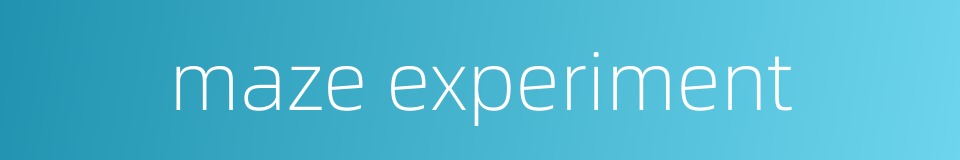 maze experiment的同义词