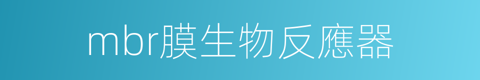 mbr膜生物反應器的同義詞