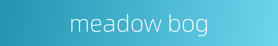 meadow bog的同义词