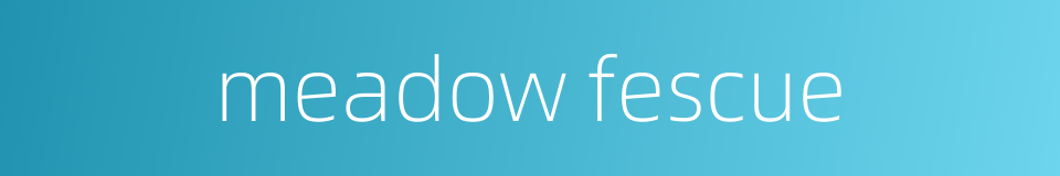 meadow fescue的同义词