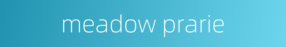 meadow prarie的同义词
