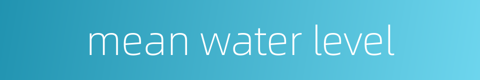 mean water level的同义词