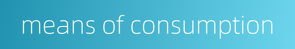 means of consumption的同义词