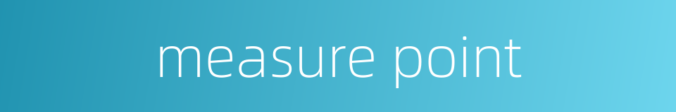 measure point的同义词