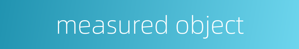 measured object的同义词