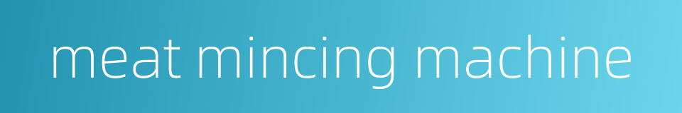 meat mincing machine的同义词