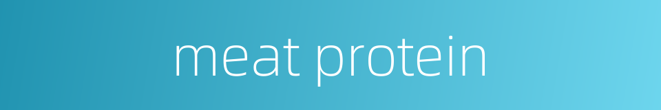 meat protein的同义词