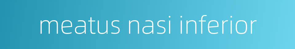 meatus nasi inferior的同义词