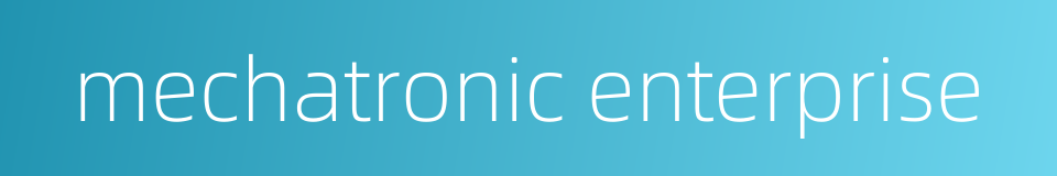 mechatronic enterprise的同义词
