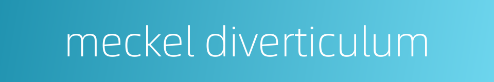 meckel diverticulum的同义词
