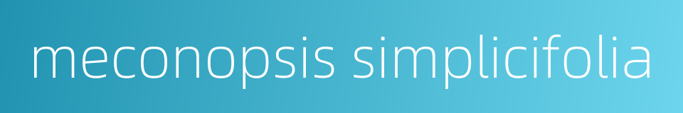 meconopsis simplicifolia的同义词