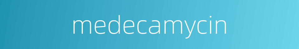 medecamycin的同义词