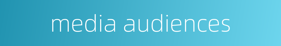 media audiences的同义词