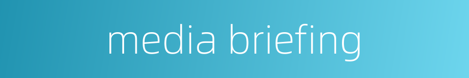 media briefing的同义词