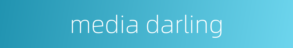 media darling的同义词
