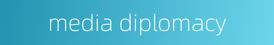 media diplomacy的同义词