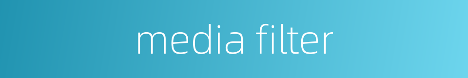 media filter的同义词