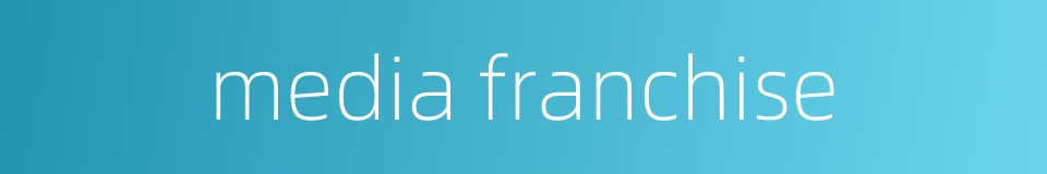 media franchise的同义词
