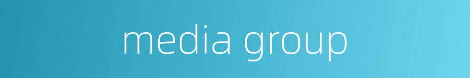 media group的同义词