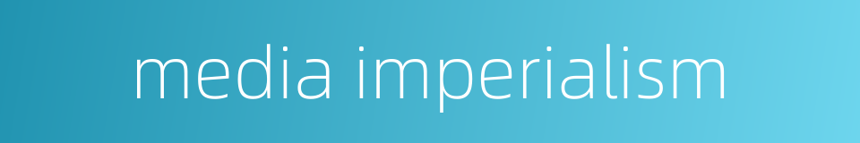 media imperialism的同义词