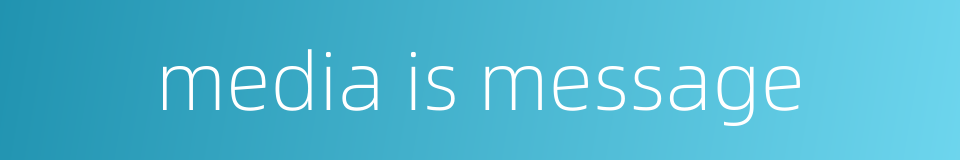 media is message的同义词