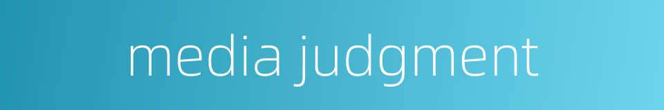 media judgment的同义词