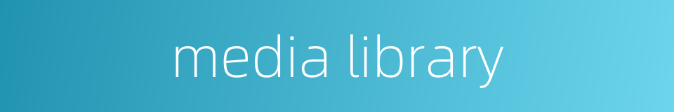 media library的同义词