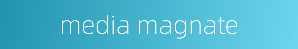 media magnate的同义词