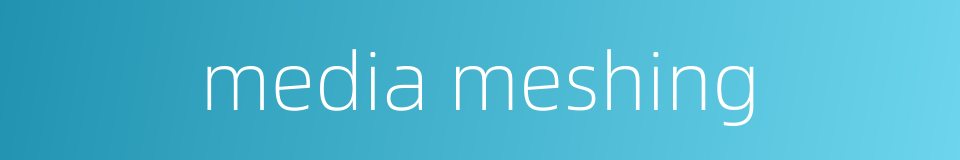 media meshing的同义词