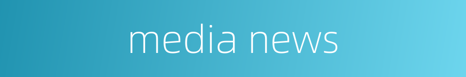 media news的同义词