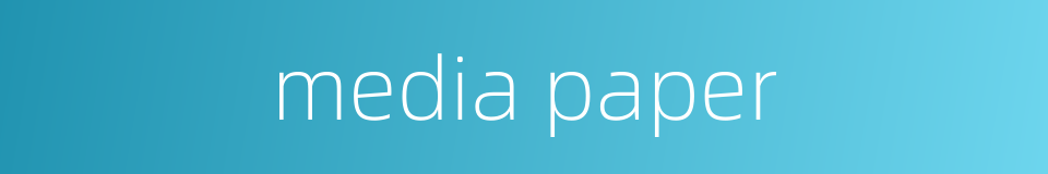 media paper的同义词