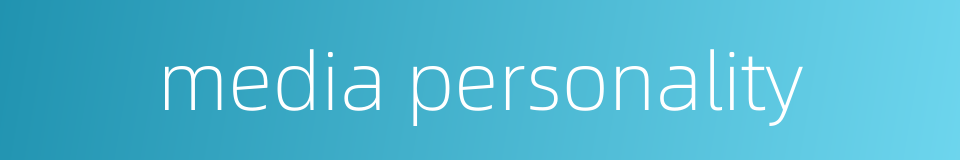 media personality的同义词
