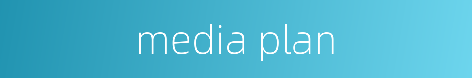 media plan的同义词