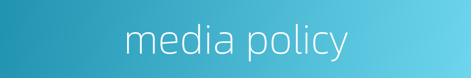 media policy的同义词