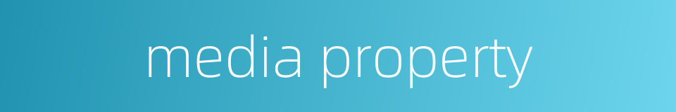 media property的同义词