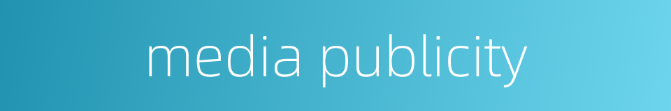 media publicity的同义词