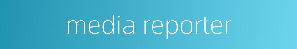 media reporter的同义词