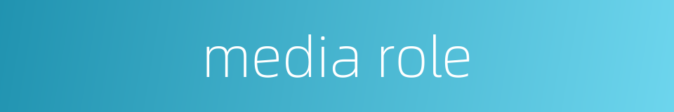 media role的同义词