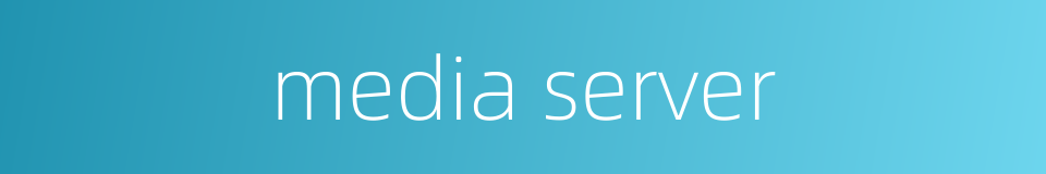 media server的同义词
