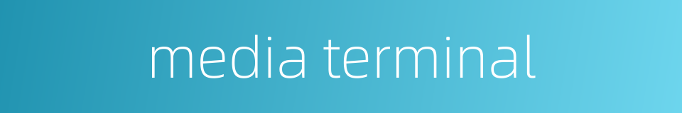 media terminal的同义词