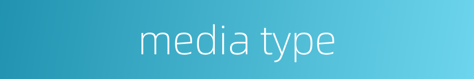 media type的同义词