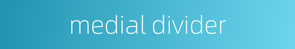 medial divider的同义词