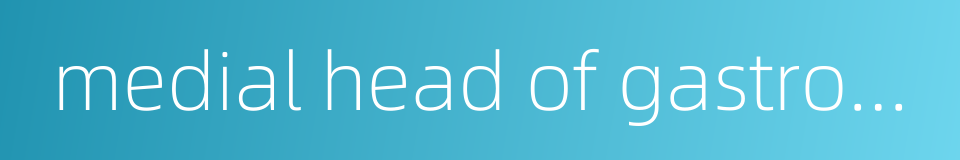 medial head of gastrocnemius muscle的同义词