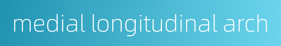 medial longitudinal arch的同义词