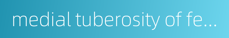 medial tuberosity of femur的同义词