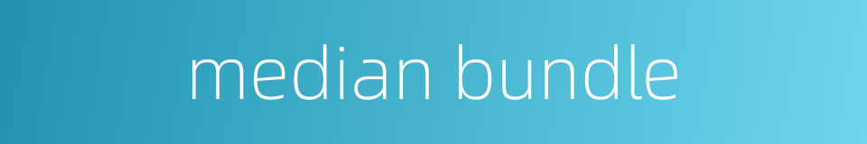 median bundle的同义词