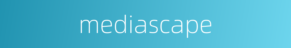 mediascape的同义词