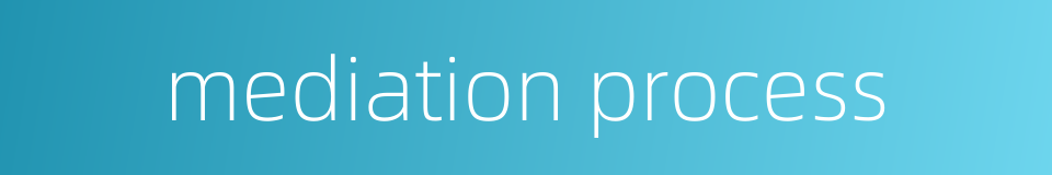 mediation process的同义词