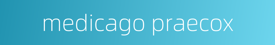 medicago praecox的同义词