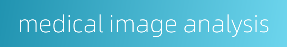 medical image analysis的同义词